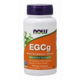 Now EGC Green Tea Extract 400mg 90caps