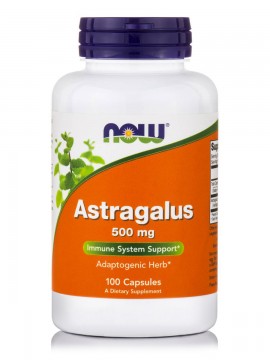 Now Astragalus 500mg 100 capsules