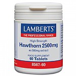 Lamberts Hawthorn 2500mg 60 Ταμπλέτες