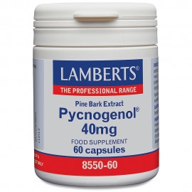 Lamberts Pycnogenol 40mg 60caps