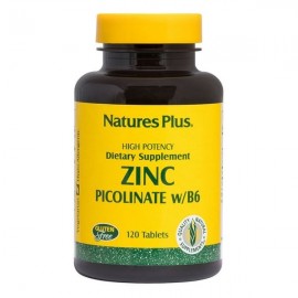 NaturesPlus Zinc Picolinate w/B6 120tabs