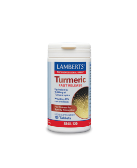 Lamberts Turmeric Fast Release 120tabs