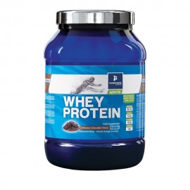 My Elements Sports Whey Protein Chocolate Powder 1000gr