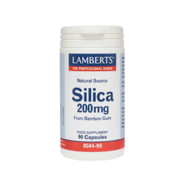 Lamberts Silica 200mg 90capsules