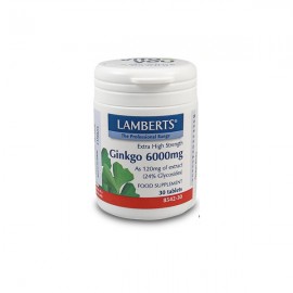 Lamberts Ginkgo 6000mg 30 ταμπλέτες