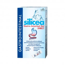 Hubner Silicea Gastro Intestinal Gel 6x15ml