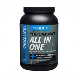 Lamberts Performance All-in-one Chocolate 1450gr