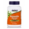 Now Boswellia Extract 500mg 90 μαλακές κάψουλες