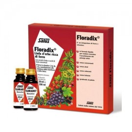 Power Health Floradix 10x20ml