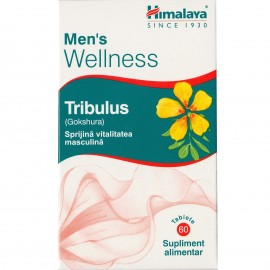 Himalaya Mens Wellness Tribulus 60 caps