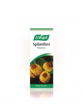 A.Vogel Spilanthes 50ml